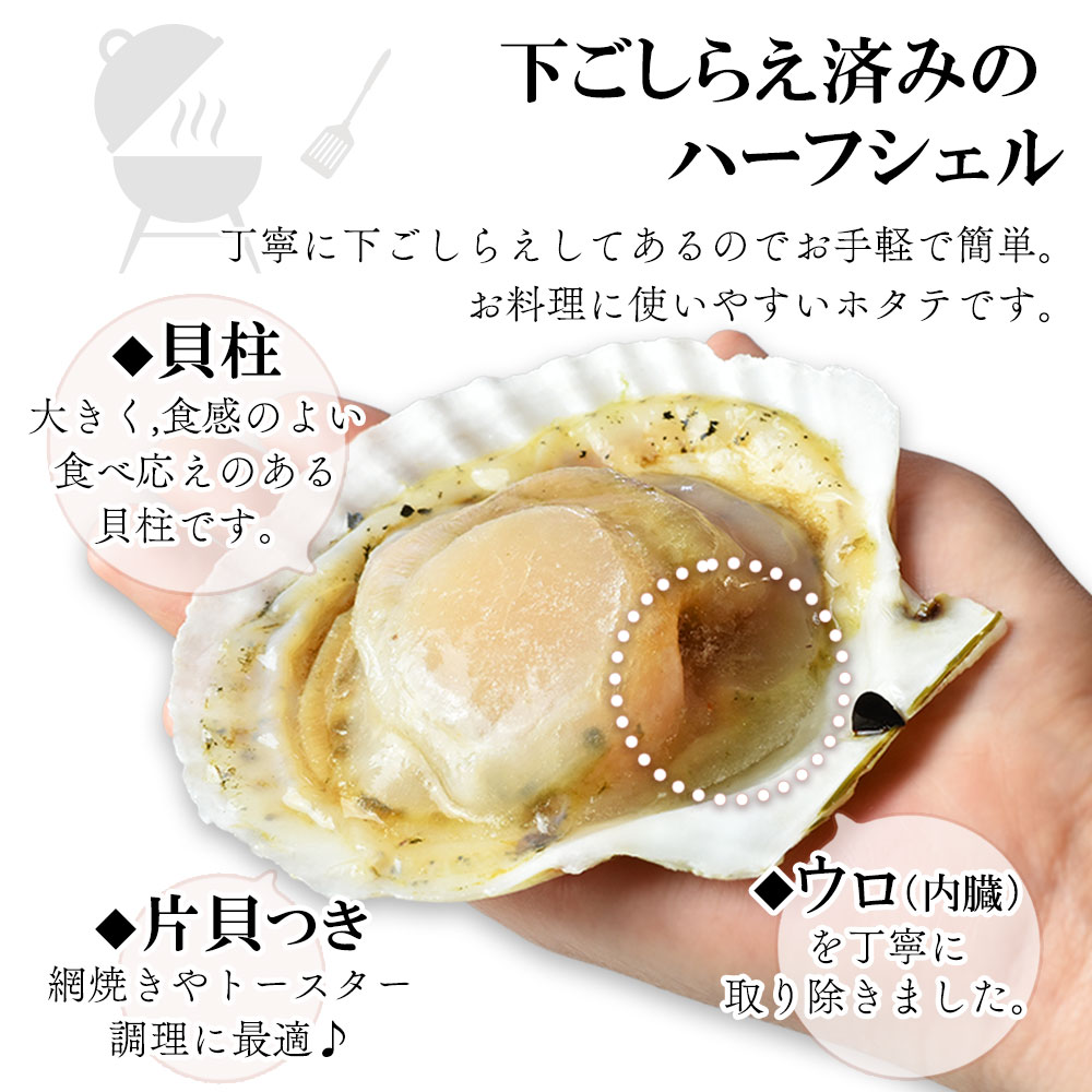 遅れてごめんね 父の日 御中元 お中元 ホタテ 片貝 殻付き 30枚 ほたて お祝い 高級 BBQ バター焼き 殻を開ける手間がなく簡単調理 貝 海鮮 殻付き ひも 貝柱 帆立 バーベキュー 国産 海の幸 浜焼き