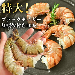 エビ ブラックタイガー 無頭 殻付き 海老 500g BBQ カレー えび 特大 アウトドア キャンプ バーベキュー 海の幸 お取り寄せグルメ 冷凍 ギフト プレゼント 大粒