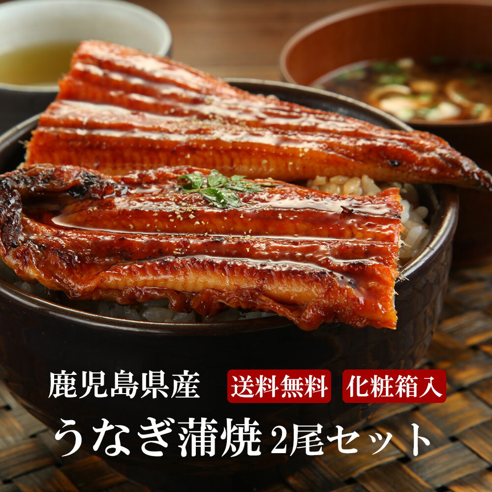 蒲焼き 【今だけ10%OFF！5/16まで！】あす楽 うなぎ 国産 お祝い 送料無料 鹿児島県産 蒲焼き 2尾 360g （180g×2） 2～4人前 高級 山椒つき うなぎ蒲焼 お祝い ギフト 贈り物 鰻 遅れてごめんね 母の日 プレゼント ひつまぶし うな丼 鰻丼 お取り寄せグルメ