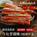 御中元 お中元 土用の丑の日 うなぎ 国産 お祝い 送料無料 鹿児島県産 蒲焼き 2尾 320g (160g×2) 2〜4人前 高級 山椒つき うなぎ蒲焼 お祝...