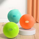 サイレントバスケットボール 静音ボール サイレントボール ウレタンフォーム製 軽量 おもちゃ 子供用ボール スポンジボール 室内遊び スポーツ 練習用ボール バスケ トレーニング 安全 柔らかい 幼児 キッズ 室内スポーツ 学校 体育 レクリエーション