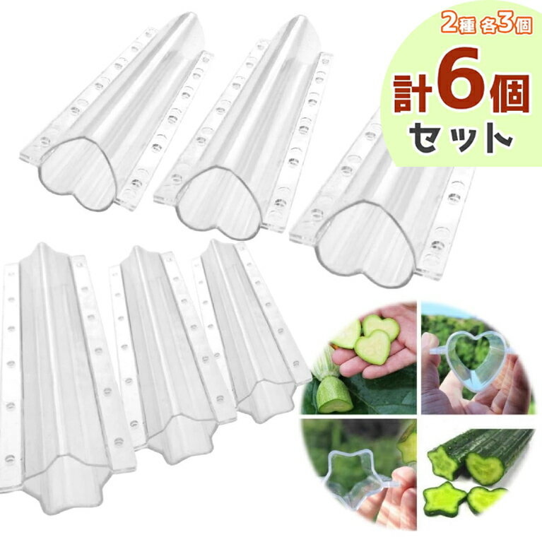 家庭菜園 キュウリの型 栽培 形成 型 デコ きゅう 星型 ハート型 各3本 (6本セット)...