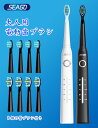 【少なくとも10%ポイント有り 4.24.20:00から4.27.9:59まで】SEAGO 電動歯ブラシ ソニックケア 替えブラシ 8本 5つのモード USB充...
