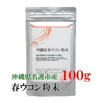 ★春ウコン粉末100g 沖縄県名護市産≪メール便送料無料≫