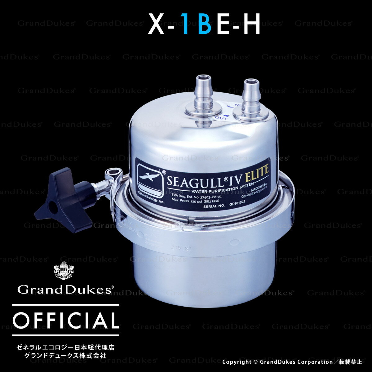 ڥեX-1BE-H 奷ƥ ȥå1° 󥯥 ƥ쥹10ǯݾ ƹ񥼥ͥ륨 Ź ɥǥ塼ľ