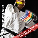 (パケット便送料無料)BODYMAKER(ボディメーカー)色帯 1HOBI (空手/格闘技)1HOBI