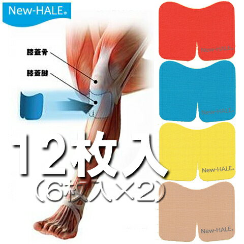 (パケット便送料無料)New-Hale（ニューハレ）テーピングテープニーダッシュ（12枚：6枚入×2）ひざ下・ふくらはぎ・アキレス腱etcランニ..