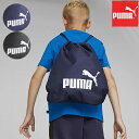 (パケット便送料無料)PUMA プーマ フェイズ ジムサック 学校水泳授業/スクール対応 プールバッグ/ナップサック ボーイズ/男の子 079944