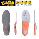 (pPbg֑)Bane Insole olC\[ {[X|[c 21.5cm-29.5cmyTbJ[/싅/oXPbg/o[/ejX/싅zBNS00201-BNS00205