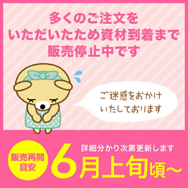 《受賞店舗》お名前シール 強粘着タイプ(鉛筆用...の紹介画像2