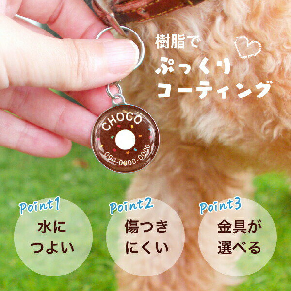 �Լ���Ź�ޡ��»һ����ѿ�˥ǥ�����100�������åԥ��ա�����ǭ�ڥåȤˢ� ����̵�����»� ���� pet ̾�� �����ۥ���� �ڥåȥ��� �»һ� �¤� ���襤�� ��ޯ�� ���������ᥤ�� �ץ쥼��� ���ꥹ�ޥ����ե� ��·���ϡԤޤ뷿��