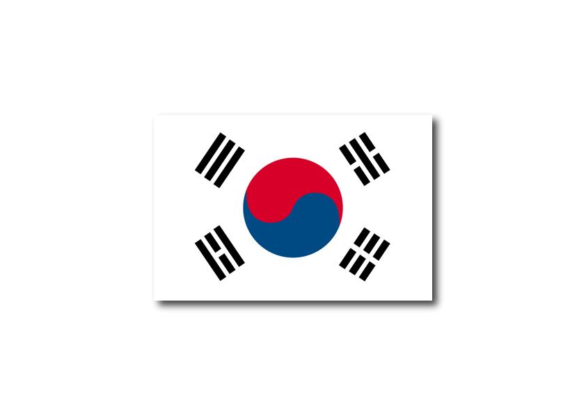 国旗タトゥーシール送料無料！国旗タトゥーシール　韓国、50×90のシートにタトゥーシールが2枚付いています。