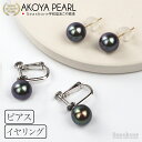 真珠 ブラックパール ピアス イヤリング 黒真珠 レディース シルバー SV925 k18 k14 チタン 黒真珠 スタッドタイプ 【8.0-9.0mm】保管用...