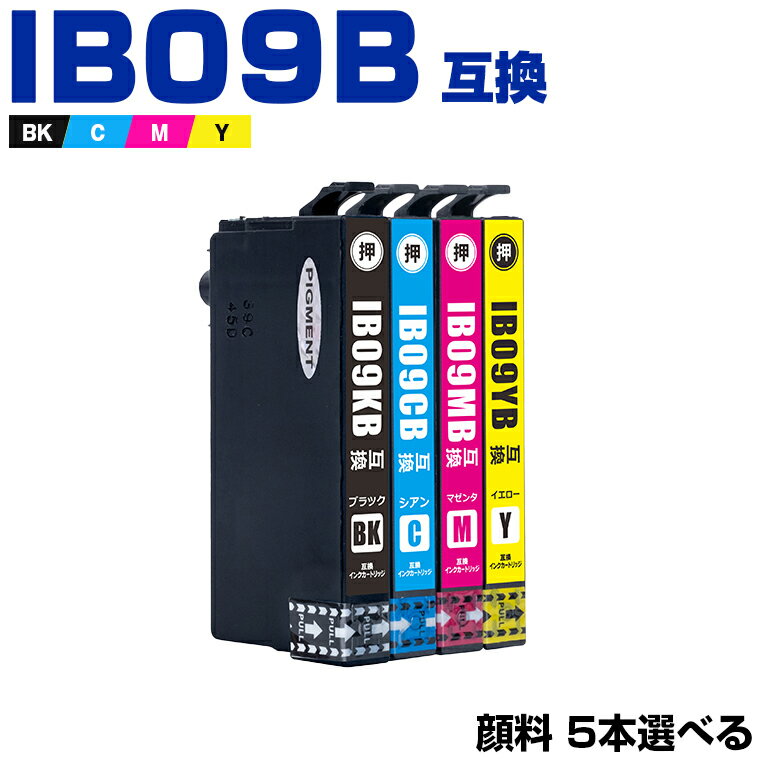 ̵ IB09B (IB09A)  45ļͳ 2Ĥޤ ץ ߴ  (IB09 IB09A IB...