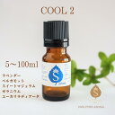 夏バテ対策 アロマ オイル 5ml 10ml 30ml 50ml 100ml アロマオイル エッセンシャルオイル 精油 ブレンドアロマ 体感温度マイナス2度 ラベンダー ベルガモット スィートマジョラム ゼラニウム ユーカリ 送料無料