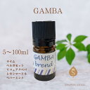 メッセージ付きアロマ GAMBA 5ml 10ml 30ml 50ml 100ml 精油 エッセンシャルオイル お誕生日 お礼 退職 転勤 職場 お返し 癒し 励まし ギフト アロマ雑貨 ライム ベモット ペパーミント リツェアクべバ レモンマートル 送料無料