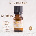 マンスリーブレンド 11月 アロマオイル 5ml 10ml 30ml 50ml 100ml エッセンシャルオイル 精油 お礼 誕生日 お礼の品 職場 お返し 癒し 香りギフト / ラベンダー パルマローザ ホーウッド ファーニードル ブラックペッパー イランイラン ジャスミンアブソリュート/ 送料無料