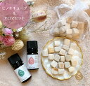 アロマセット 人気の9種類から選べる 5ml×2本 お試しセット ひのき キューブ アロマ ウッドチップ エッセンシャルオイル ヒノキ 精油 天然アロマ ブレンドオイル ギフトセット リラックス 癒しグッズ 送料無料
