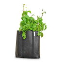 ★アウトレット在庫処分★特別商品Potato　Planting Bag　(ポテトプランター)