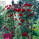 【Classic Garden Elements】【ガーデンアーチ】ヴィクトリアンアーチ R5　プランツサポート2本1セットプレゼント付