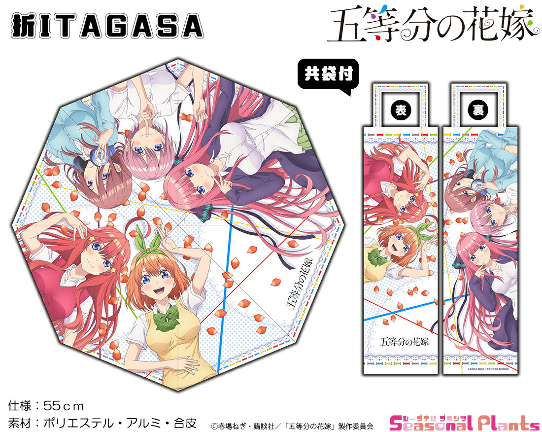 楽天1位 五等分の花嫁 折itagasa 送料無料 Brazhost Net Br 楽天1位 五等分の花嫁 折itagasa 送料無料 Brazhost Net Br