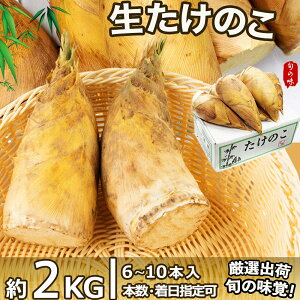 【3日以内発送】生たけのこ 約2kg ＜5~10本入×1箱＞新タケノコ 中国産 厳選フレッシュ筍 鮮度自慢 おせち料理食材 新鮮孟宗筍本体 旬の食材 香り高くシャキシャキ食感 お歳暮 冬笋 竹笋 家庭用 業務用 冬春限定【数量割引対象】サイズが選べる＜送料込＞＜配達日指定可＞