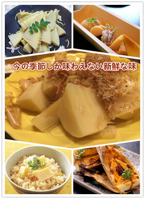 【あす楽】生鮮たけのこ 4キロ 筍本数選択可 6〜10本入×2箱 中国産 タケノコ シャキシャキの食感 天然新鮮たけのこ本体 自社コンテナで直輸入竹の子 旬を味わう 鮮度が良くて美味しい筍【旬の食材】【根切り出荷】【代引可】【送料無料】【ポイント10倍】