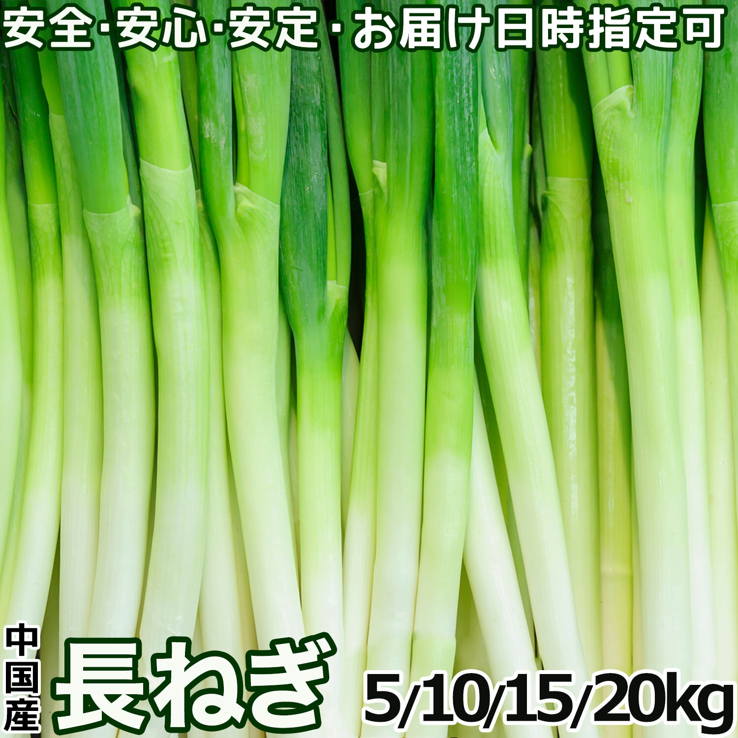 ＜日付指定可＞長ねぎ ネギ 業務用 5キロ箱 40本前後入 Lサイズ 中国産 白ネギ 白...