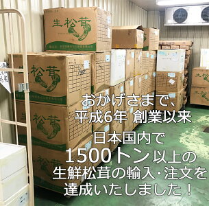 【送料無料】生鮮 松茸 500g 中つぼみ(半開き)HAサイズ 約12〜14本入 長さ約8-9cm 中国産 特選等級 当社直輸入 天然新鮮まつたけ本体 秋分の日 敬老の日ギフト 家庭用 ご贈答 期間限定【代引可】【厳選出荷】【お届け日指定可】【あす楽対応】