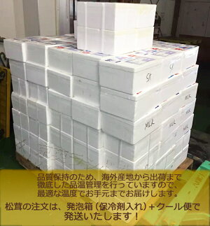 【送料無料】生鮮 松茸 500g 中つぼみ(半開き)HAサイズ 約12〜14本入 長さ約8-9cm 中国産 特選等級 当社直輸入 天然新鮮まつたけ本体 秋分の日 敬老の日ギフト 家庭用 ご贈答 期間限定【代引可】【厳選出荷】【お届け日指定可】【あす楽対応】