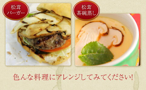 【送料無料】生鮮 松茸 500g 中つぼみ(半開き)HAサイズ 約12〜14本入 長さ約8-9cm 中国産 特選等級 当社直輸入 天然新鮮まつたけ本体 秋分の日 敬老の日ギフト 家庭用 ご贈答 期間限定【代引可】【厳選出荷】【お届け日指定可】【あす楽対応】