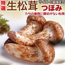 <予約8月中下旬>生松茸 つぼみ|空輸 中国雲南産|秋の味覚の王様・フレッシュまつたけ・ツボミ|鮮度優先・希少価値が高く香り豊かで歯ごたえ抜群|国内トップクラス...