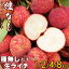 ̵֡饤 ʼ 1/2/4/8kg Ȣ  郎ʤٱʰ ʤեå饤 Ťäפ𡹤 ե롼 쥤 ̵譻 Seedless Lychee ȥԥե롼  渵 £ʪե Ƹ ͵ι¿ι⸡ʡפ򸫤