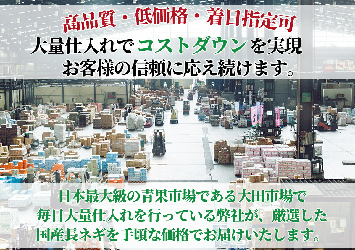 全国の飲食店様を応援 厳選した太くて使いやすい新鮮な国産白ねぎを毎日大田市場から直送します 国内産地 国産 白ネギ 20kg 5キロ×4箱 M~ 2Lサイズ 数量限定セール 埼玉 茨城 群馬県産 むき長ねぎ 通年安定提供 新鮮な太く長いムキ白葱 毎日大田市場から直送 深谷白ネギ ... 全国の飲食店様を応援 厳選した太くて使いやすい新鮮な国産白ねぎを毎日大田市場から直送します 国内産地 国産 白ネギ 20kg 5キロ×4箱 M~ 2Lサイズ 数量限定セール 埼玉 茨城 群馬県産 むき長ねぎ 通年安定提供 新鮮な太く長いムキ白葱 毎日大田市場から直送 深谷白ネギ ...
