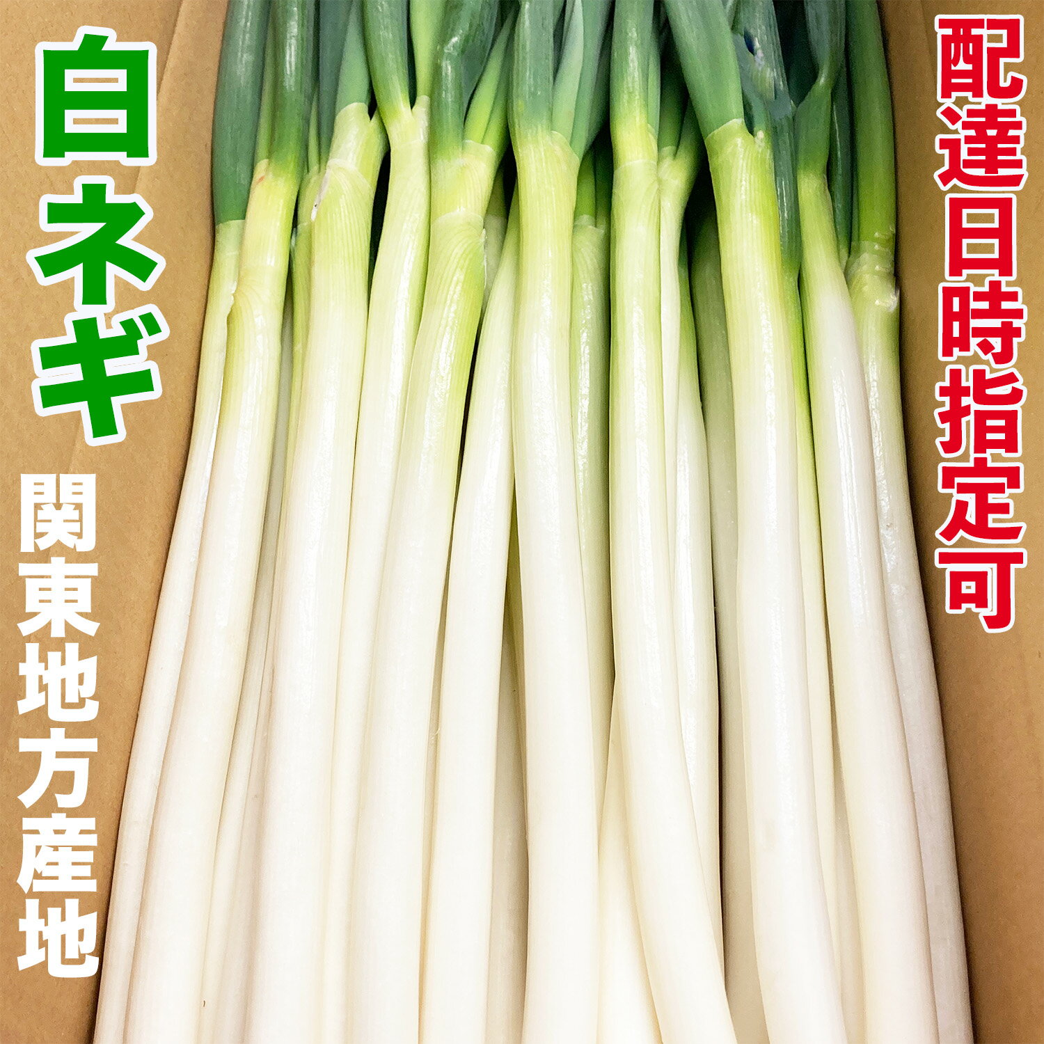 【送料無料】【朝市場直行】福岡県ほか　博多万能ねぎ　PC　約100g　x2個セット【冷蔵】