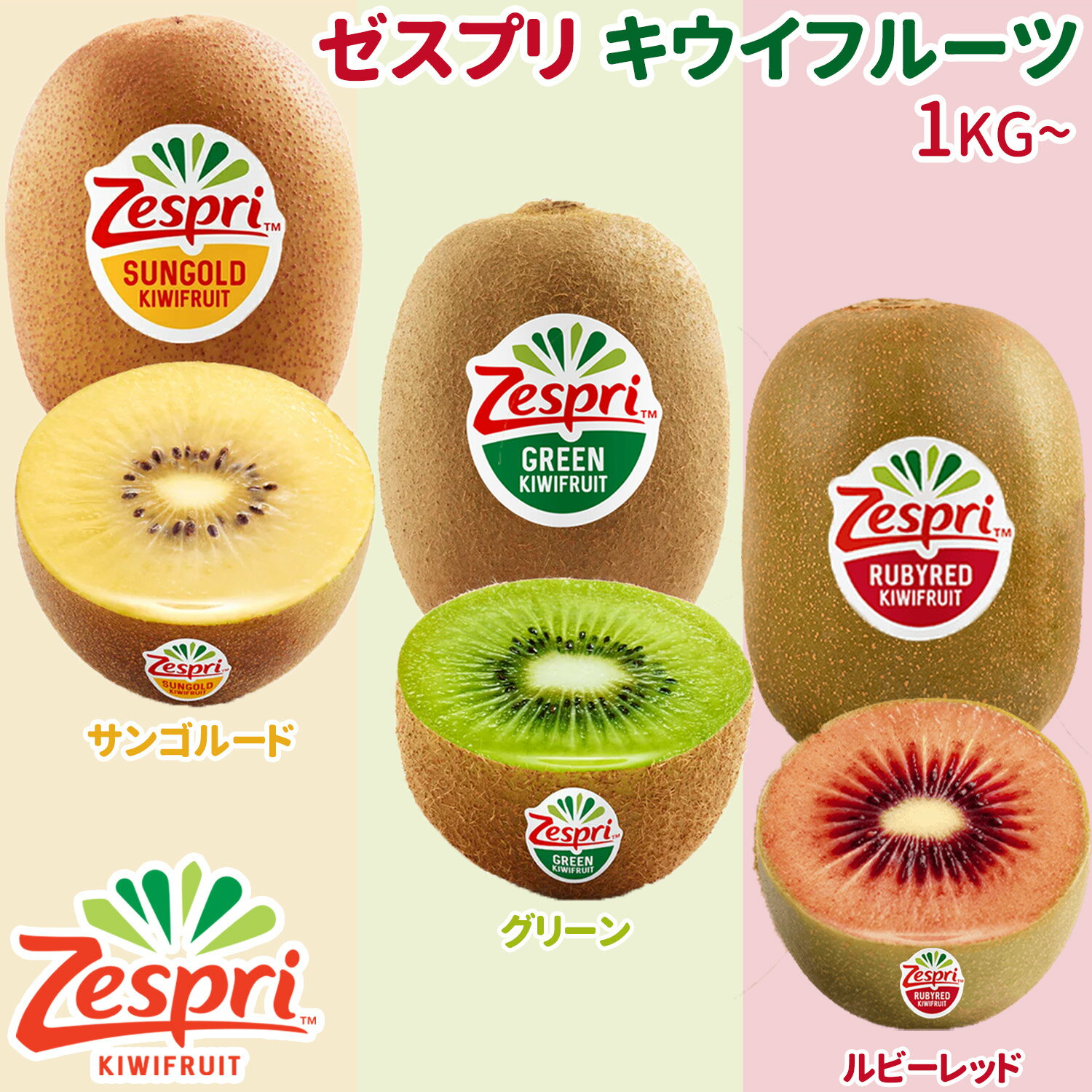 キウイ ＜ゼスプリ＞キウイフルーツ「黄/緑/赤」大玉 5種類からお選び頂けます NZ産 秀品 ビタミンCを豊富に含み栄養価が高い定番トロピカルフルーツ Zespri SunGold/Green/Rubyred Kiwifruit 奇異果 父の日 お中元 贈答用 家庭用 四季の広場厳選＜国内検品発送＞＜日付指定可＞