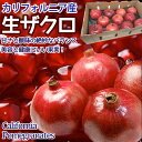 <予約11月下旬>生ザクロ アメリカ産|生ざくろ 大玉 フレッシュザクロ|鮮やかな赤色で果汁豊富 甘味が強くさわやかな酸味も楽しめる|新鮮 柘榴 石榴 Pome...