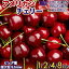 ֡䥢ꥫ꡼ Ķγ 9.5row ͢ ӥ󥰼 ݻ ܸ ꥫ߻ ͥ ǻṬ̌ǿٱȴ γ American Premium Cherries Ԣһ ݯ  渵 £ ʪե Ƹ ͵ι¿ι⸡ʡפ򸫤