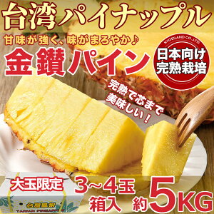 【3日以内発送】台湾 パイナップル 約5kg 3~4玉箱入 大玉限定 甘熟 台湾産 金鑚パイン 台農17号 日本向け完熟栽培 厳選 高糖度 きんさんパイン 芯まで食べられる 甘いフルーツ 果物 台湾鳳梨 Taiwan Pineapple お中元ギフト 贈答用 ご家庭用 期間限定【送料無料】
