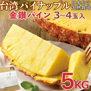 台湾パイナップル 約5kg ＜3~4玉入＞箱 大玉限定 台湾産 高糖度で芯まで柔らかな金鑚パイン 台農17号 日本向け完熟栽培 厳選フルーツ 甘熟鮮度抜群 台湾鳳梨 Taiwan Pineapple 家庭用 贈答用 台湾応援 期間限定 母の日果物ギフト ＜安心の国内検品出荷＞＜送料込＞