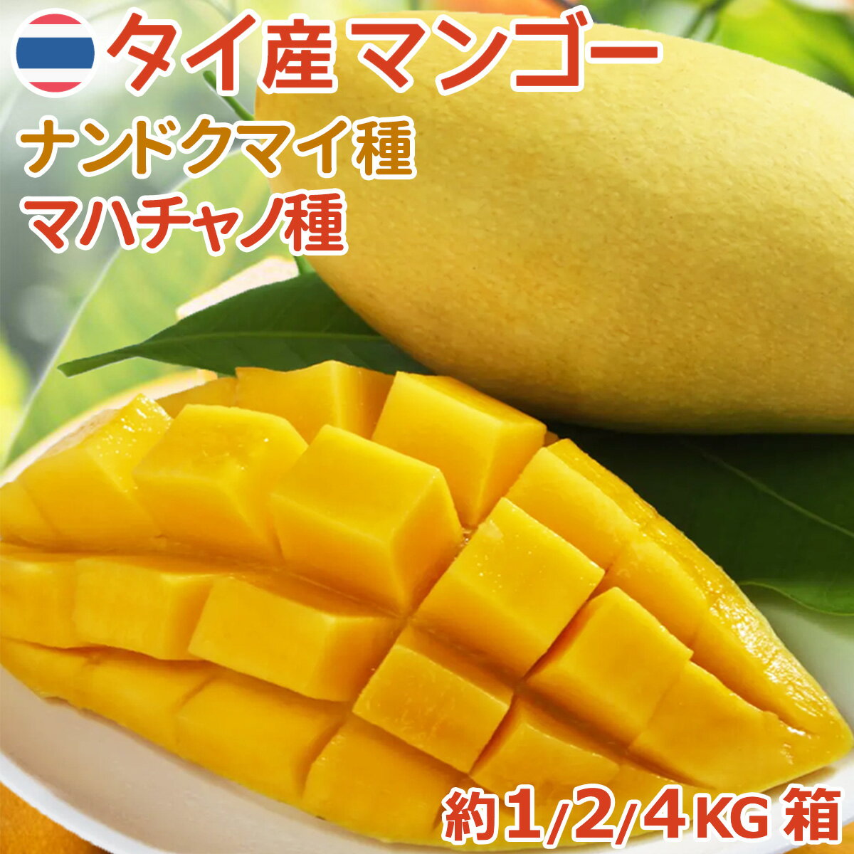 ^CY}S[ A ihN}C }n`m 1 2 4kg  { L܍͔| LȊÂ݂Ǝ_̃oX▭ IgsJt[c NxD Thai Fresh Mango ƒp p {̉ʕMtg Ε   S̍i