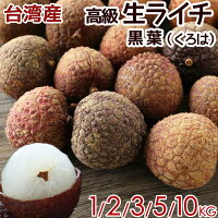 ＜早割＞台湾産 生ライチ 黒葉（くろは）高級品種 空輸 日本向け 上品な香りが強い...