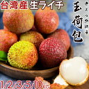 \񁄑pY C` ʉו 1/2/3/5/10L A 嗱 { I썑t[c tbVO[C` 肪X CV gsJt[c s䫎} Taiwan Lychee ƒp  ̓ p ʕMtgS̍iĊԌ聄