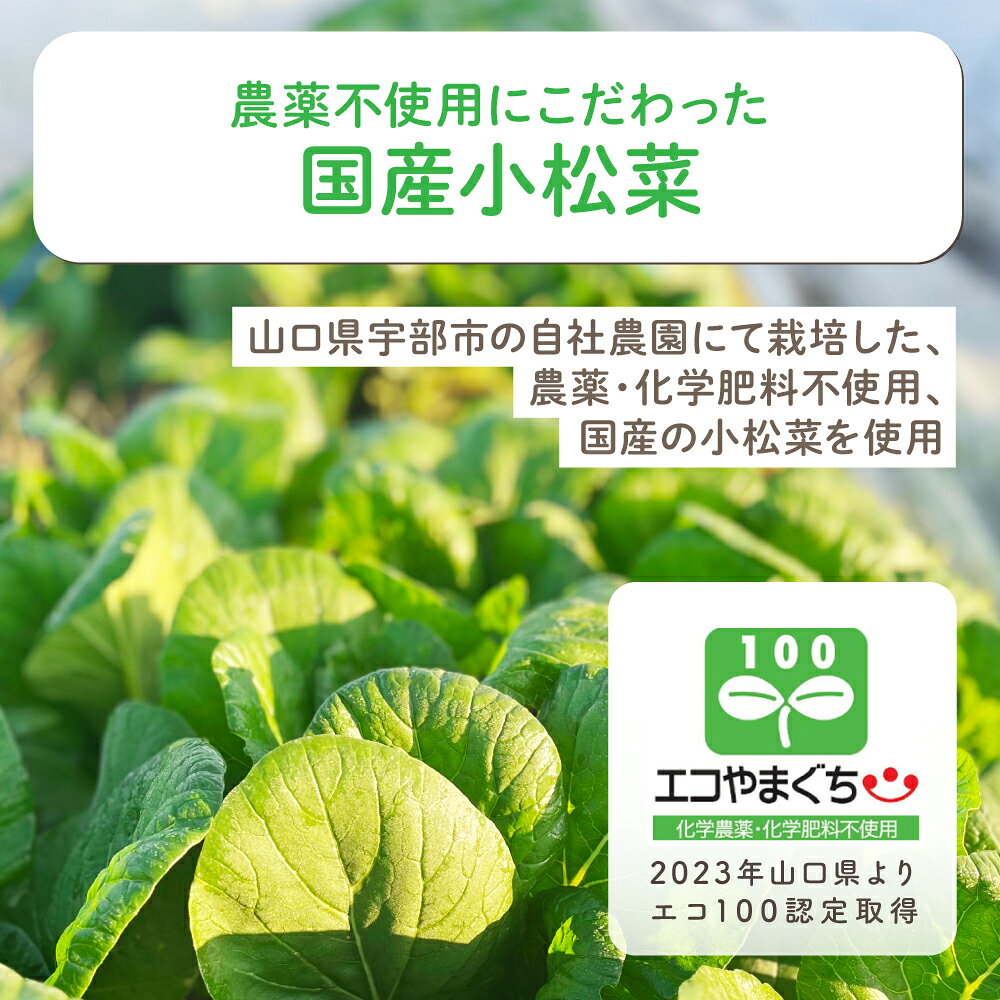 【 BabySmile公式 】おいしい葉酸青汁 SP3-01 | ベビースマイル 農薬不使用 葉酸 ...