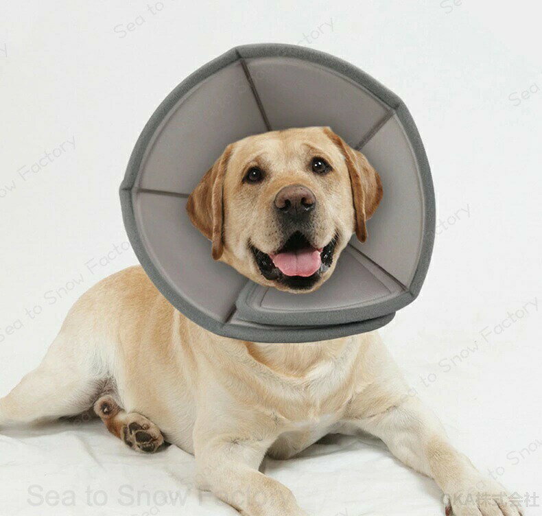 犬 エリザベス カラー ソフト 大型犬 犬用ソフトエリザベスカラーxl エリザベスカ...