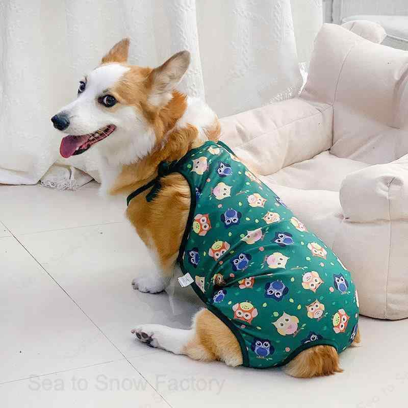 犬 サニタリーパンツ コーギー 中型犬 大型犬 生理 パンツ ペット メス かわいい 女の子 快適 フルーツ オレンジ スイカ 桃