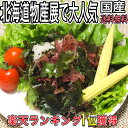 海藻サラダ 国産 【お得なセット200g