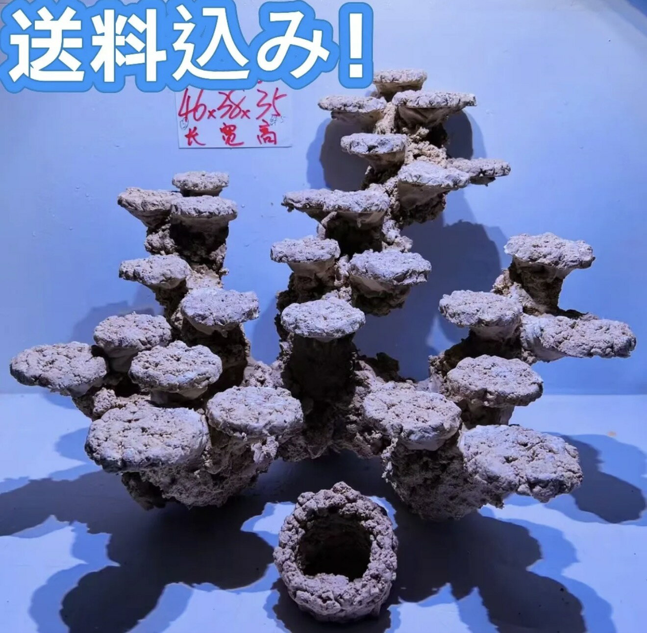 ライブロックセット 多孔質 人工 大きさ：横46cm 高さ35cm 奥行38cm（海水魚、サンゴ、バクテリア、背景、レイアウト、水槽）