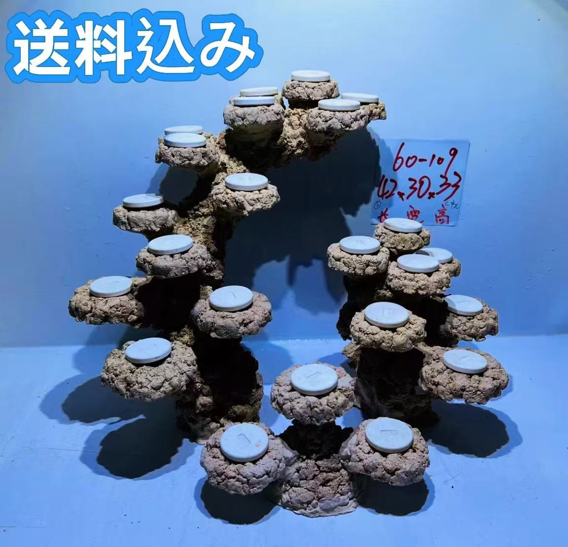 【P10倍+クーポン有！マラソン】ライブロックセット 多孔質 人工 大きさ：横42cm 高さ33cm 奥行30cm（海水魚、サンゴ、バクテリア、背景、レイアウト、水槽）