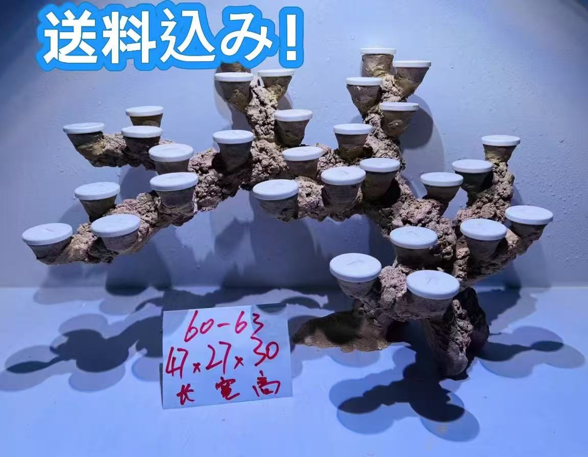 【P10倍+クーポン有！マラソン】ライブロックセット 多孔質 人工 大きさ：横47cm 高さ30cm 奥27cm（海水魚、サンゴ、バクテリア、背景、レイアウト、水槽）